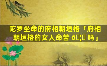 陀罗坐命的府相朝垣格「府相朝垣格的女人命苦 🦈 吗」